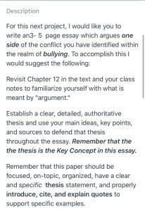 Instructions for argumentative essay writing
